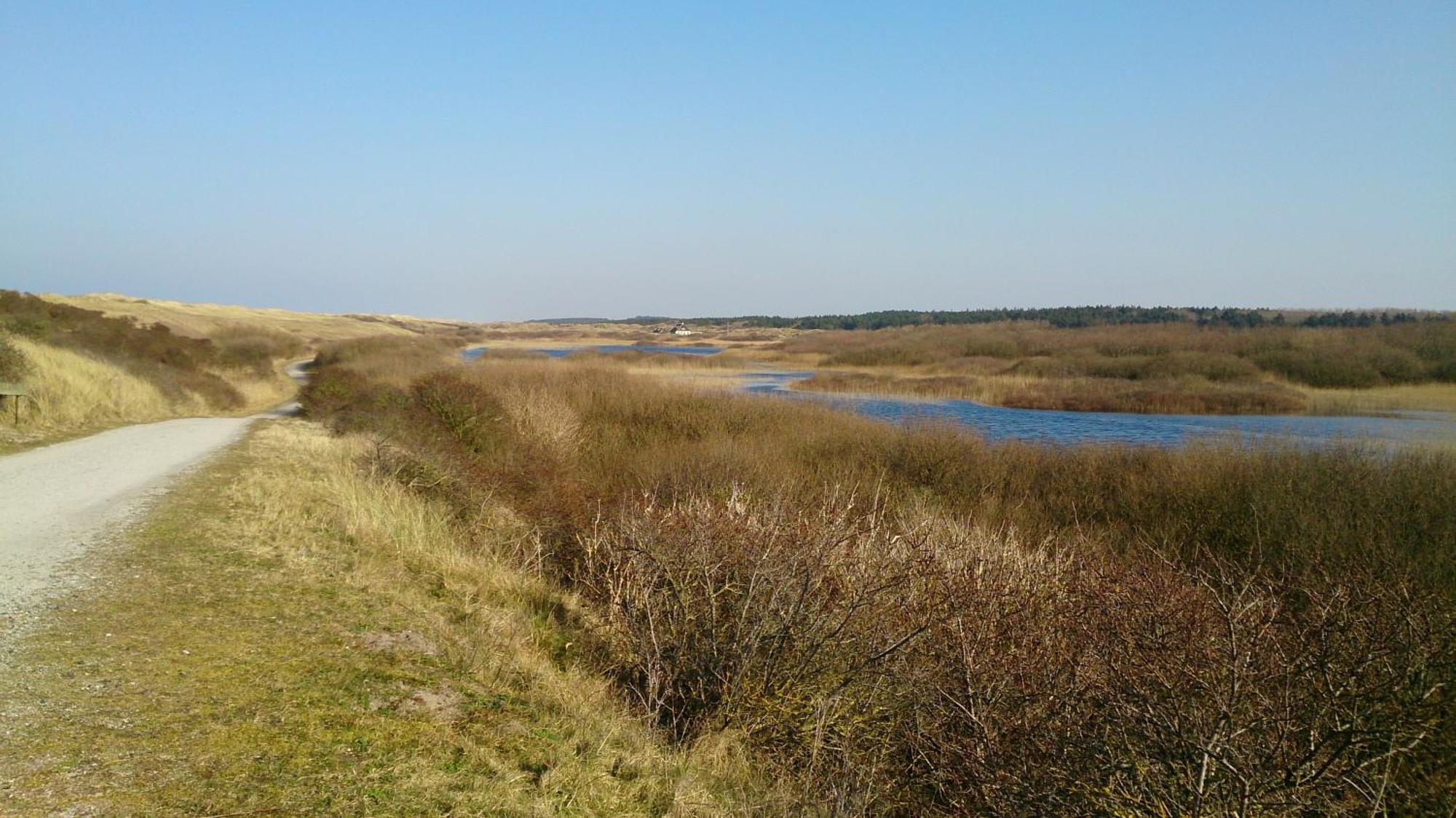 Ballumerhoeve T Pandje Exterior foto